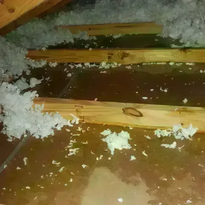 Attic Water Damage in Seneca, IL