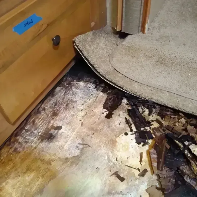 Wood Floor Water Damage in Seneca, IL